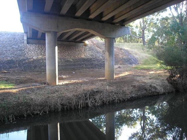 fishing under the highway